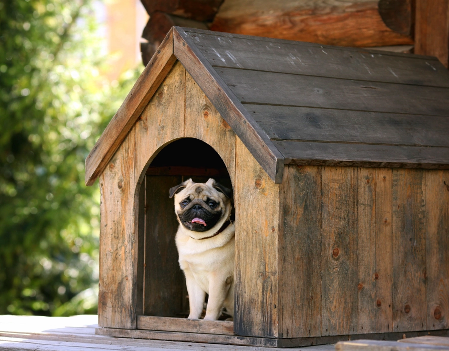 Image for Dorking Garden Sheds Kennels Service for Dorking Garden Sheds , Free Website, Better Than Wix, Free Website, New Company, No Coding Website, Tec-Nut.com Websites, Free website template, easy website in the Dorking area